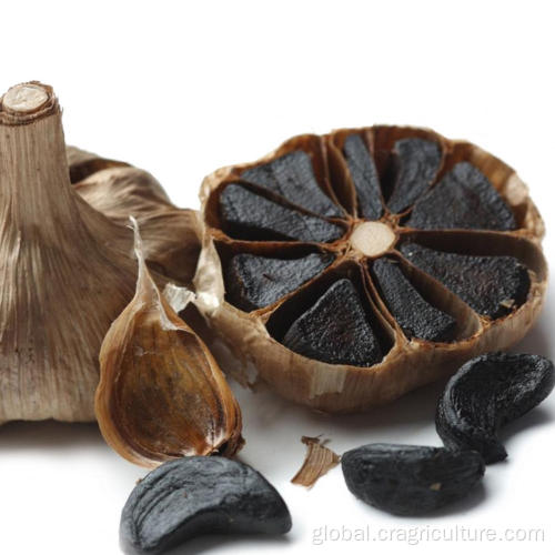 Black Garlic HALAL Certified Organic Fermented Black Garlic Supplier